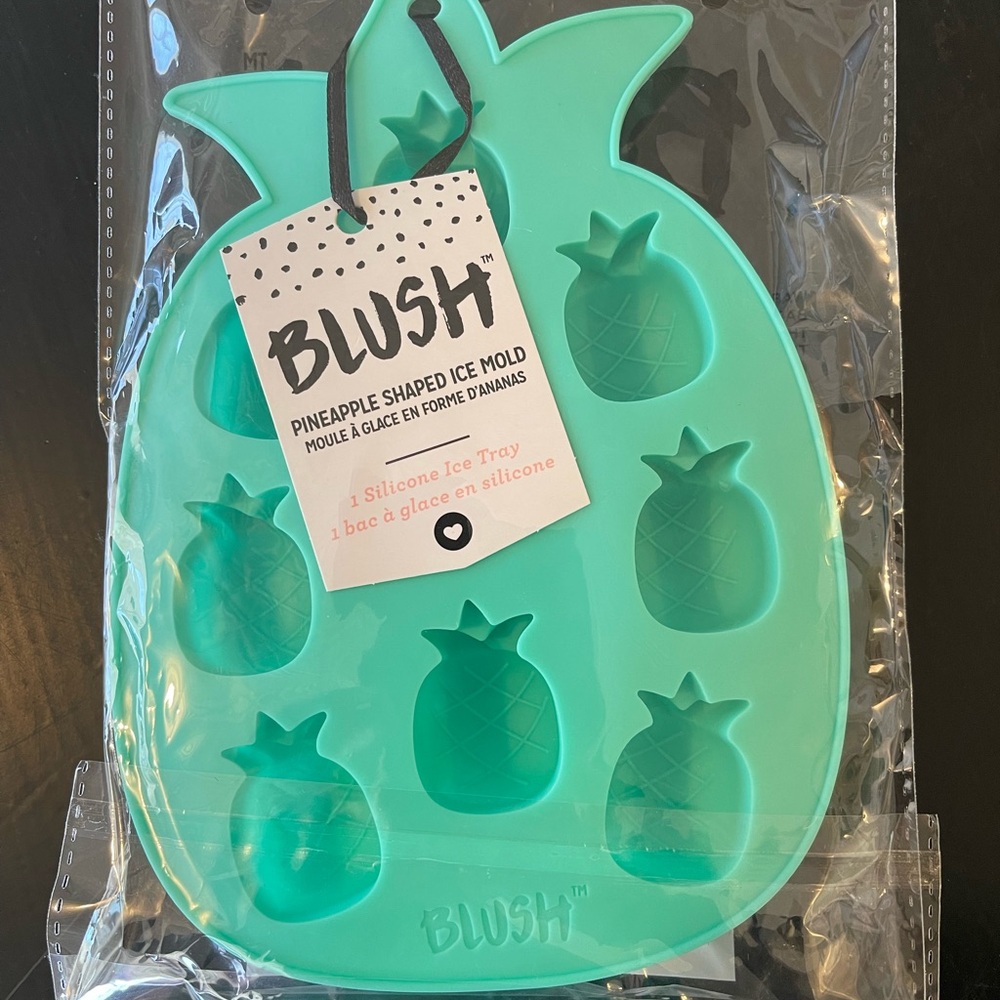 Blush Pineapple Shaped Ice Mold - Teal